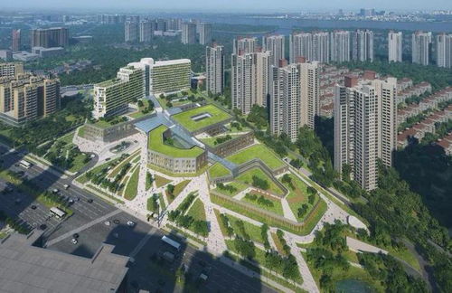 同頻共振融入 十四五 融僑集團堅定以 醫(yī)食住教 服務(wù)美好生活