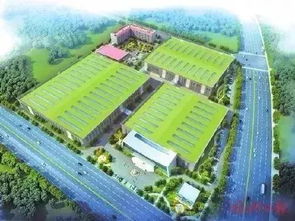 三甲醫(yī)院 國(guó)際學(xué)校 福州這個(gè)區(qū)域越來越火 今年已完成項(xiàng)目投資37億元